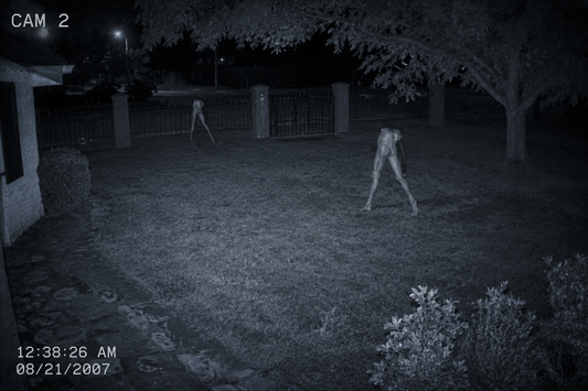 Encounter File 005: The Fresno Nightcrawler | The Figures Crossing the Lawn